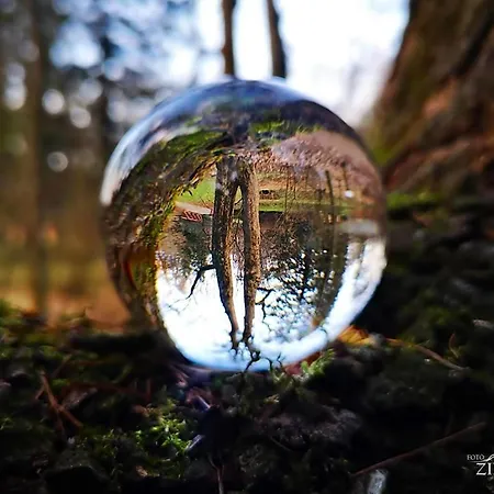 Lägenhet Rozsa Vendeghaz Zirc