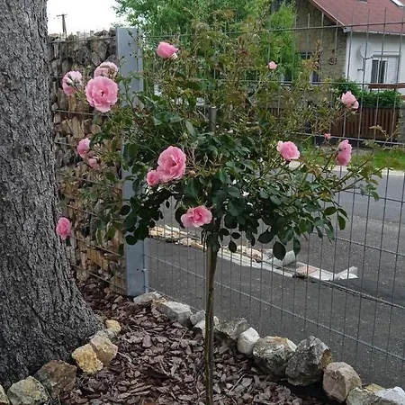 Rozsa Vendeghaz Lägenhet *