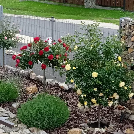 Rozsa Vendeghaz Lägenhet