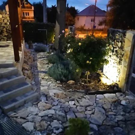 Rózsa