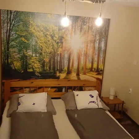 Apartment Rozsa Vendeghaz Zirc